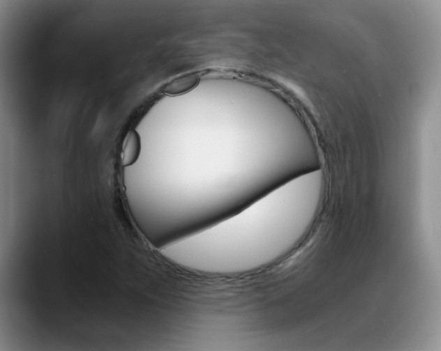 X0000090741263200707201007
