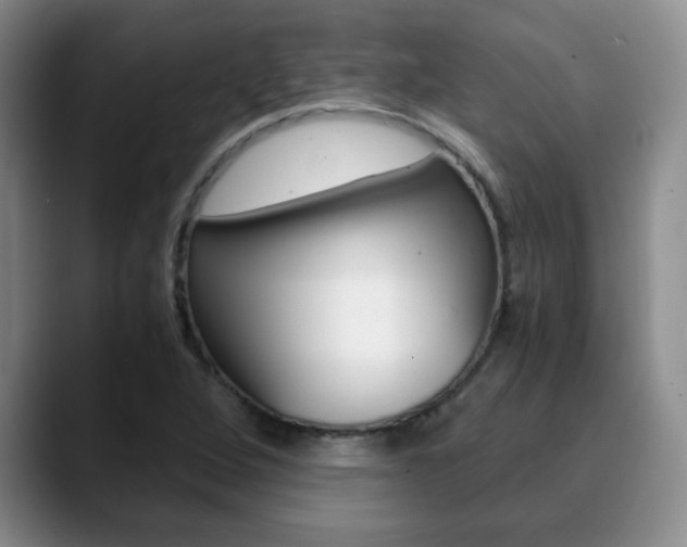 X0000090741264200707201007