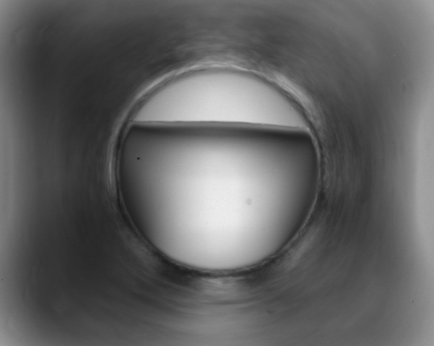 X0000090741272200707201007
