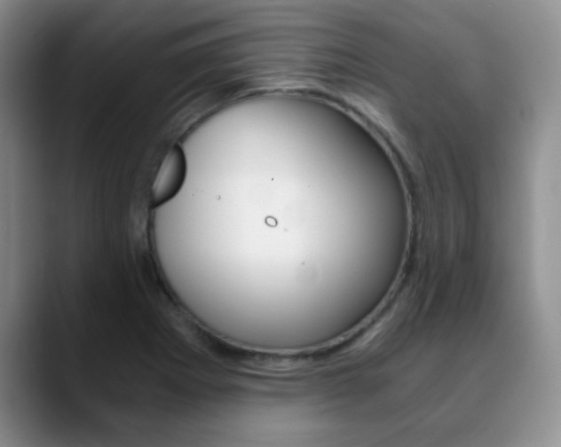 X0000090741273200707201007