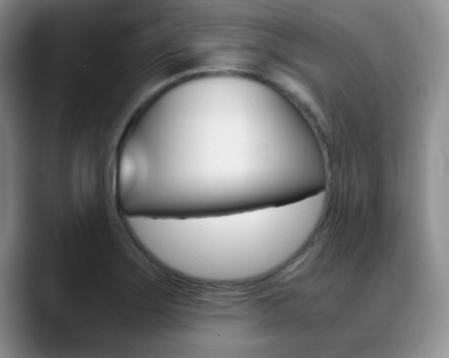 X0000090741275200707201007
