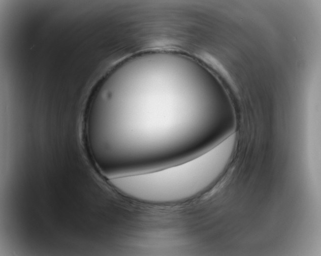 X0000090741277200707201007