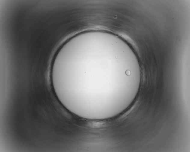 X0000090741278200707201007