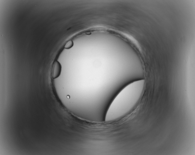 X0000090741279200707201007