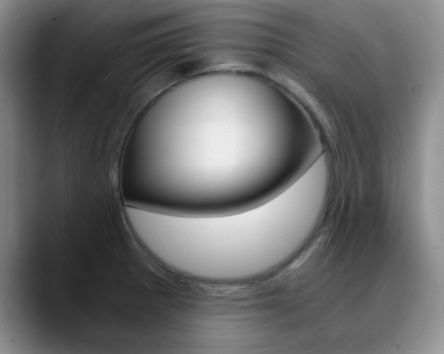 X0000090741281200707201006