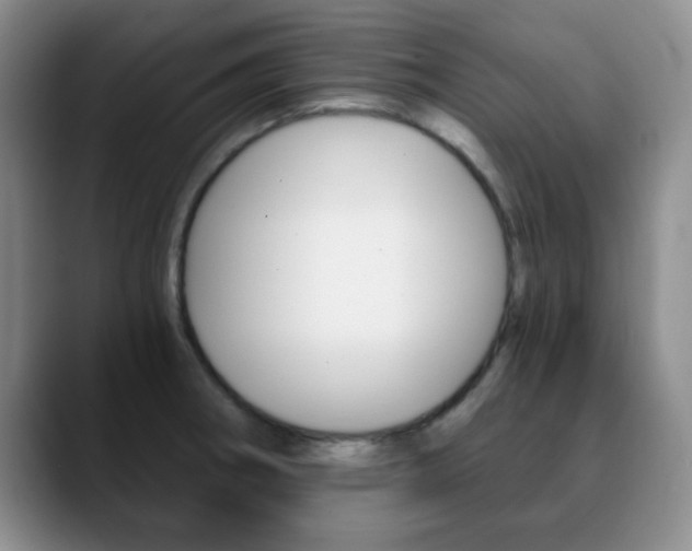 X0000090741282200707201006