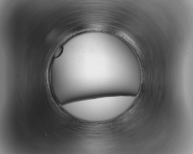 X0000090741283200707201006