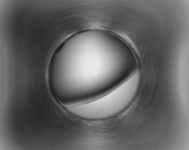 X0000090741285200707201006