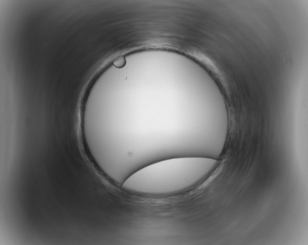 X0000090741286200707201006