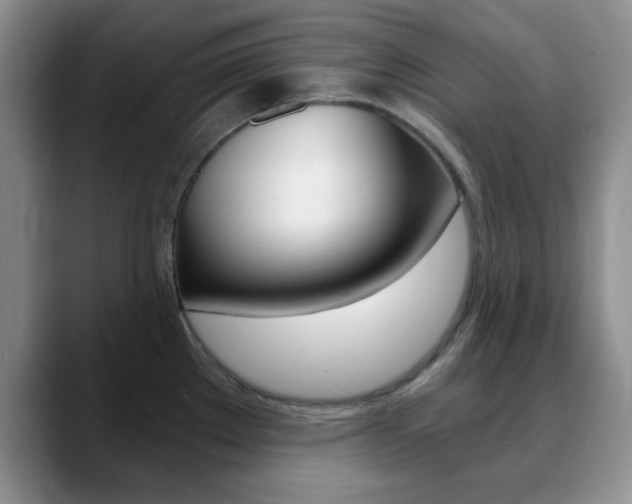 X0000090741289200707201006