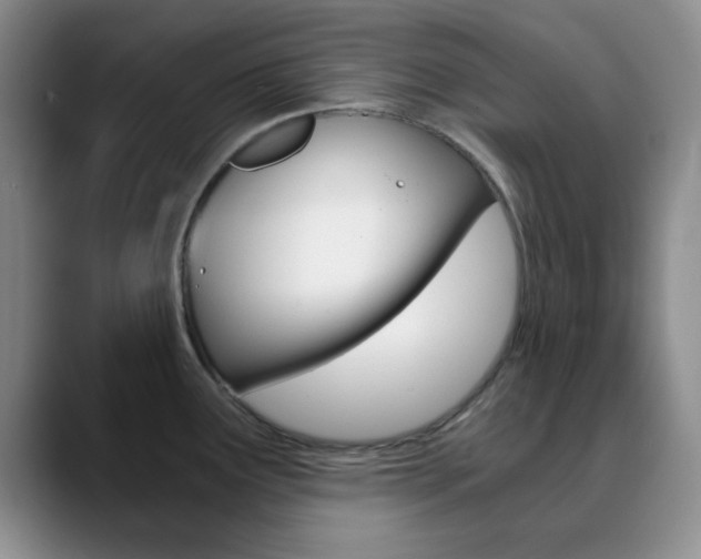 X0000090741291200707201006