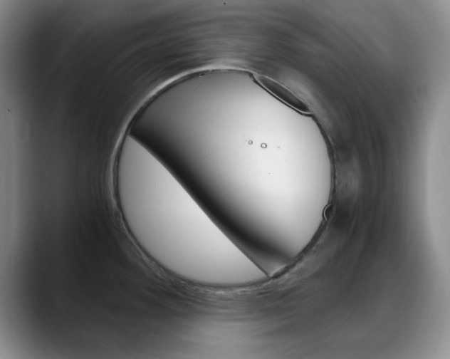 X0000090741292200707201006