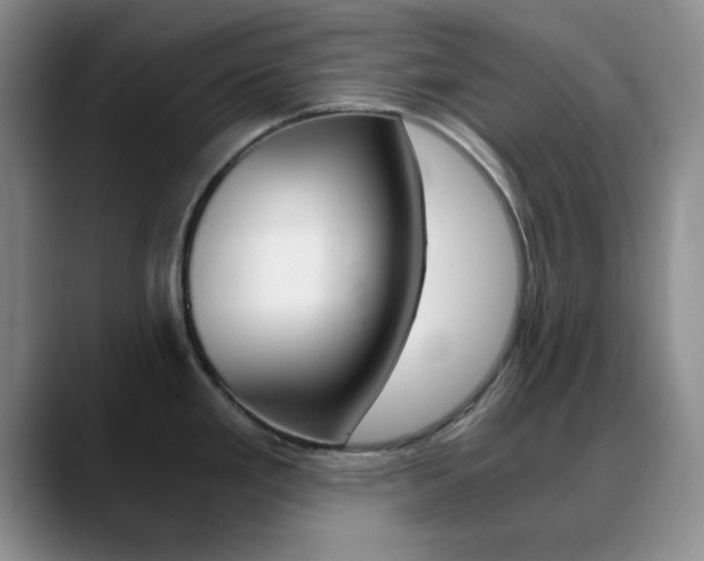 X0000090741293200707201006