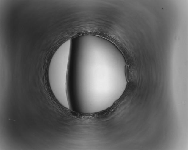 X0000090741297200707201006
