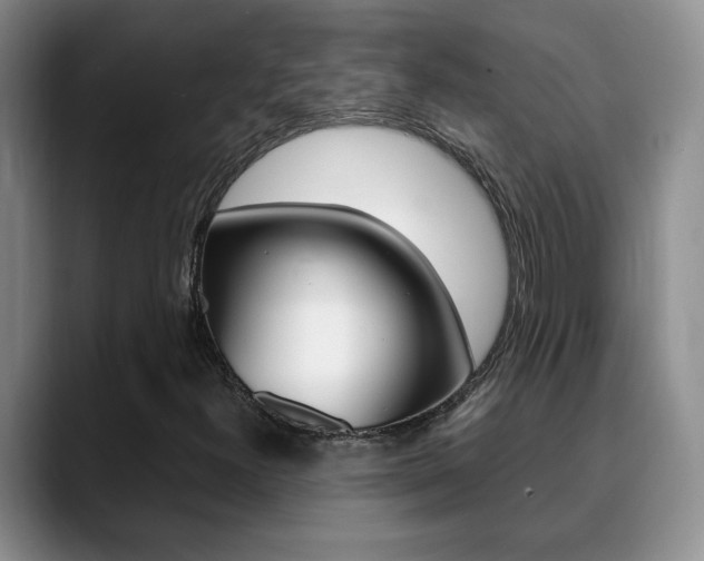 X0000090741300200707201006