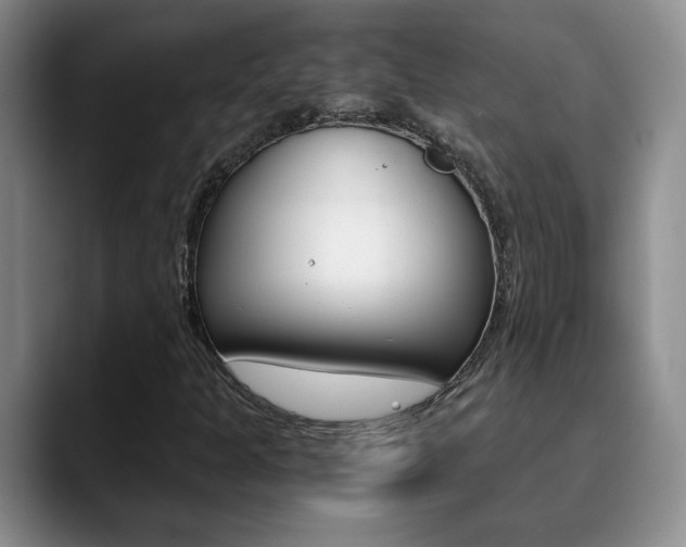 X0000090741301200707201006