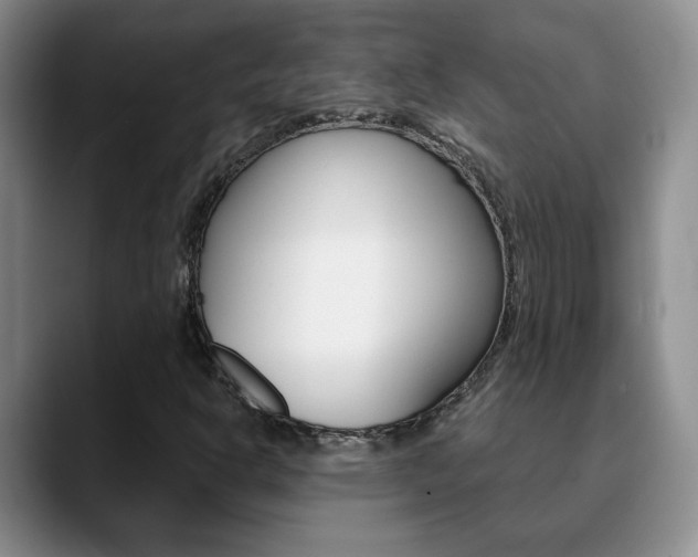 X0000090741302200707201006