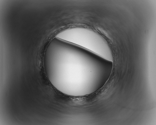 X0000090741303200707201006