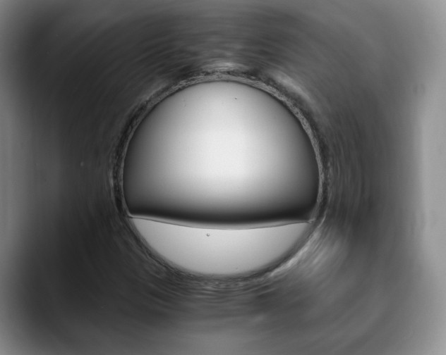 X0000090741305200707201006