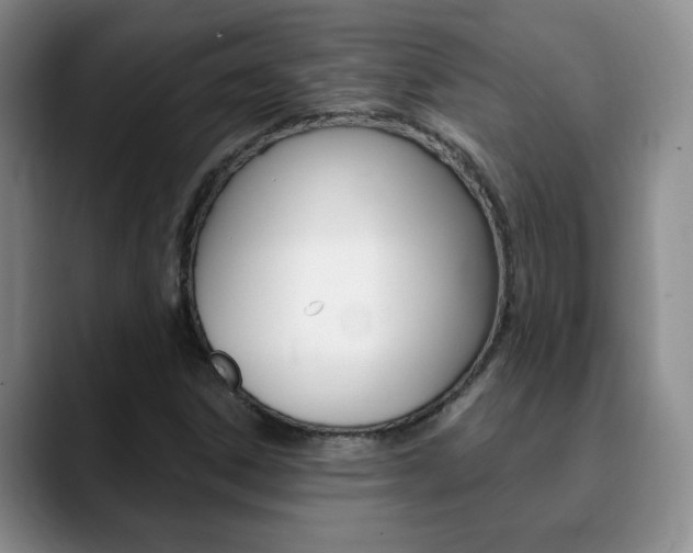 X0000090741306200707201006