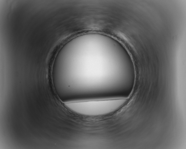 X0000090741307200707201006