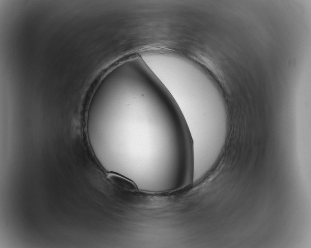 X0000090741308200707201006