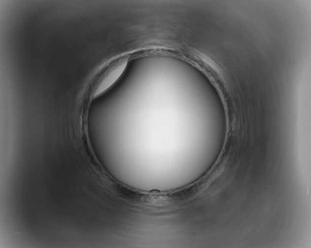 X0000090741310200707201006