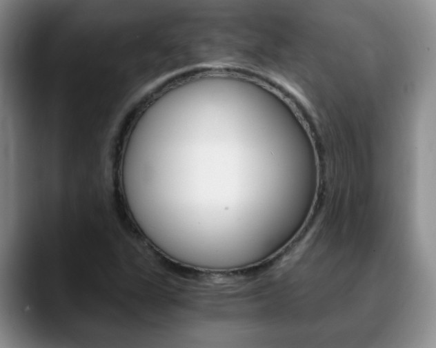X0000090741311200707201006