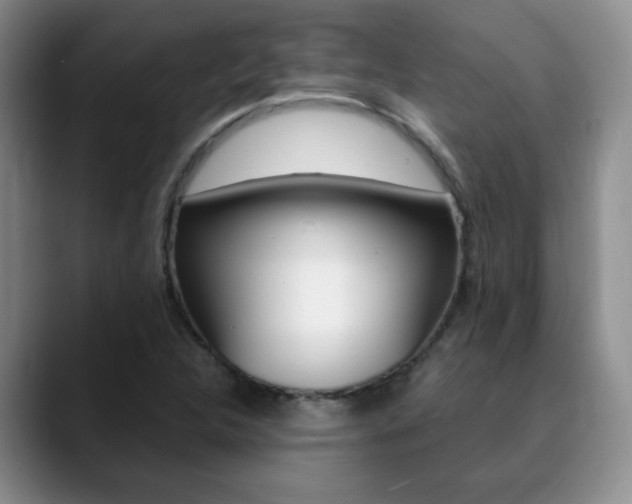 X0000090741312200707201006