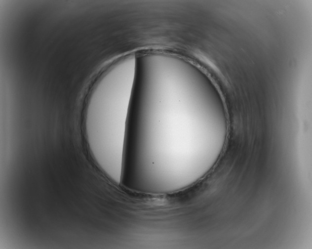 X0000090741315200707201006