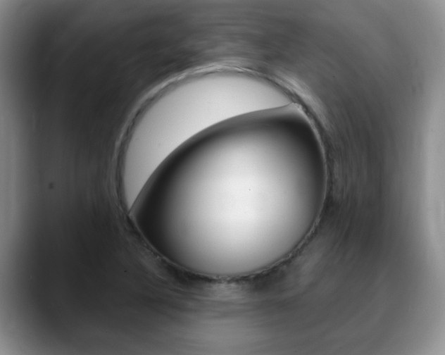 X0000090741316200707201006