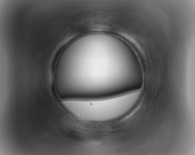 X0000090741317200707201006