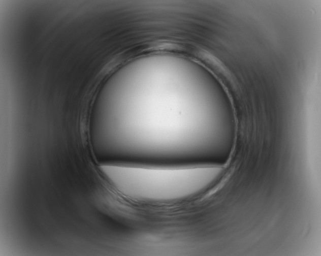 X0000090741321200707201006