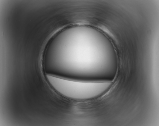 X0000090741325200707201006