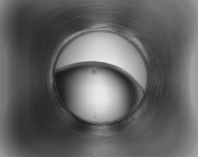 X0000090741328200707201006