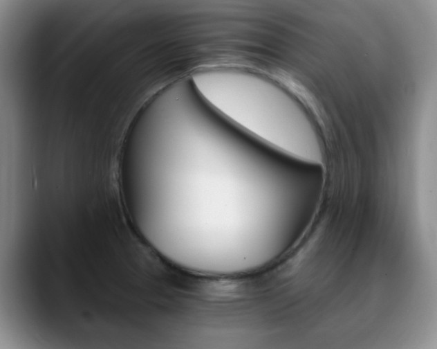 X0000090741329200707201006