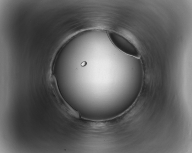 X0000090741332200707201006