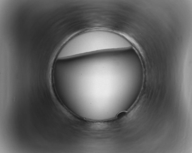 X0000090741333200707201006