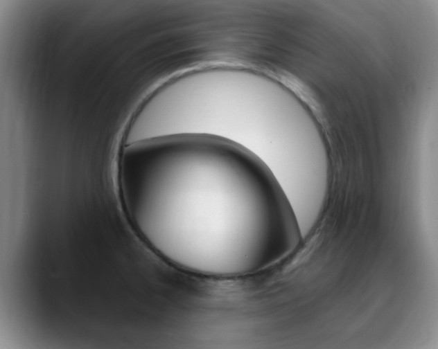 X0000090741334200707201006