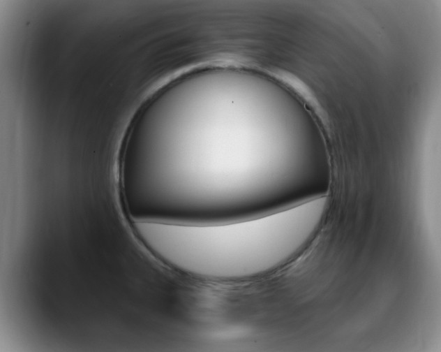 X0000090741335200707201006