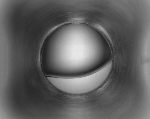 X0000090741336200707201006