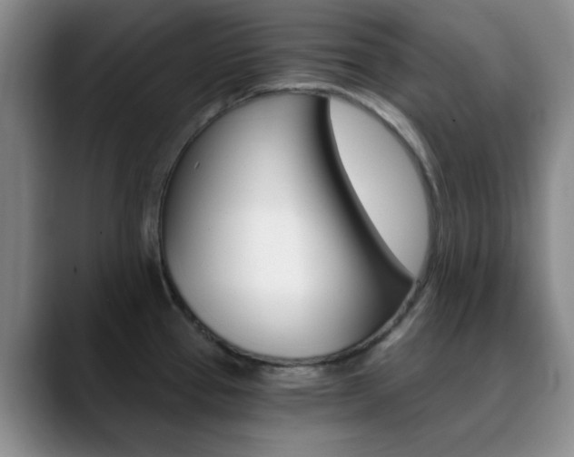 X0000090741337200707201006