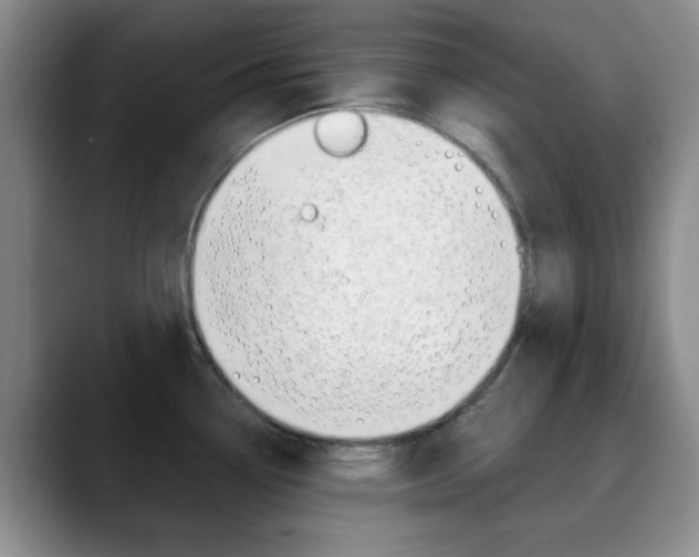 X0000090741338200707201006