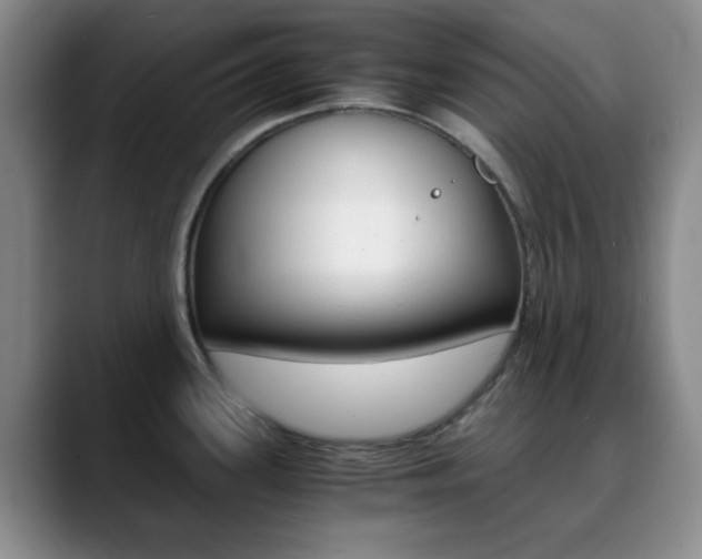 X0000090741339200707201006