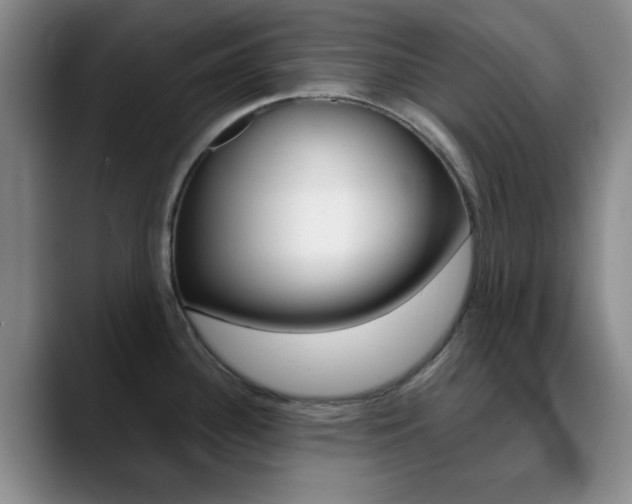 X0000090741340200707201006