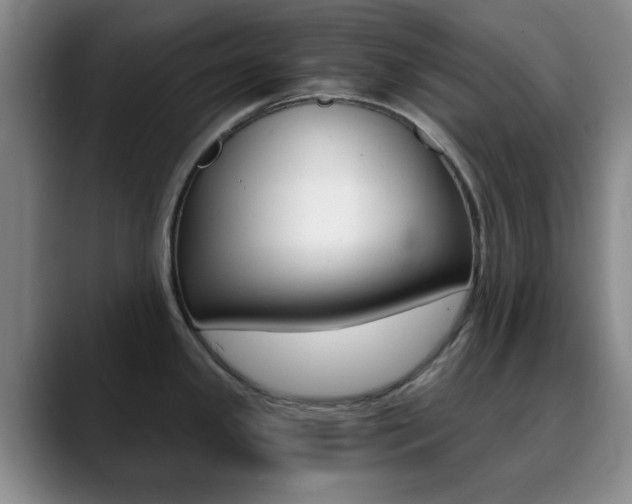 X0000090741341200707201006