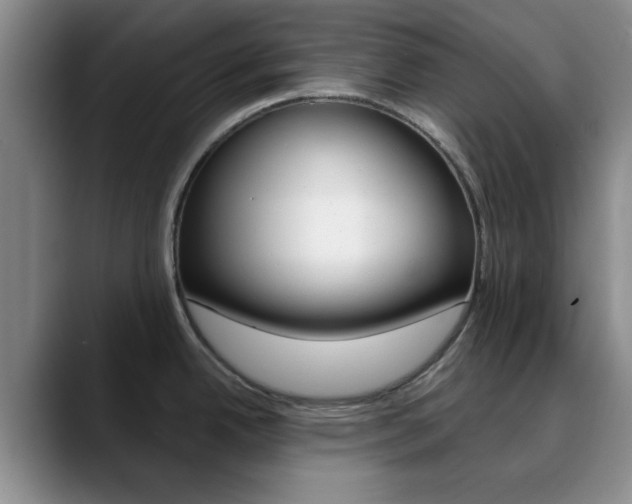 X0000090741342200707201006