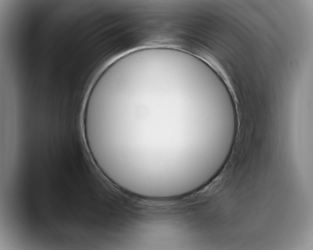 X0000090741344200707201006