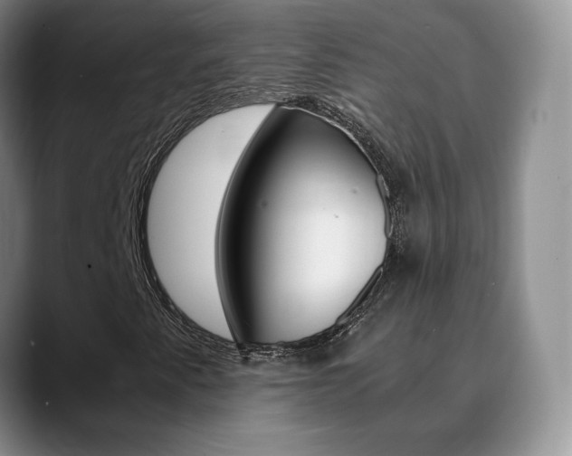 X0000090741345200707201006
