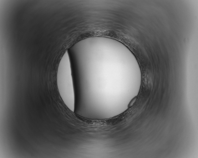 X0000090741346200707201006